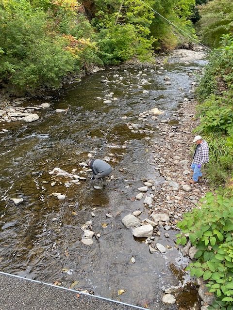 Keuka outlet at Fox Mills Upstream from wastewater treatment plant. Gary McIntee and Jim Riesenberger