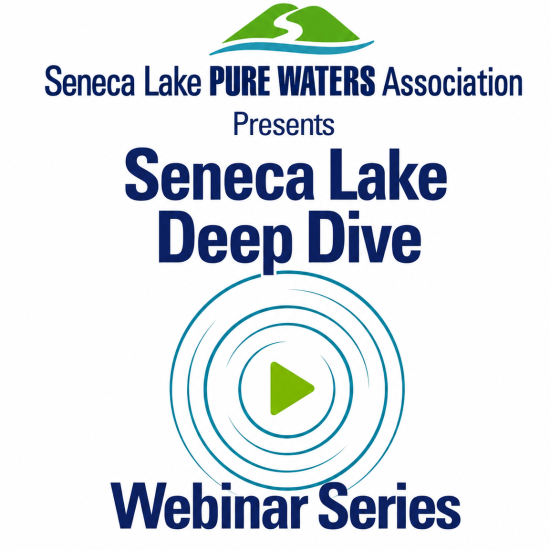 Webinar series logo Webinar series logo