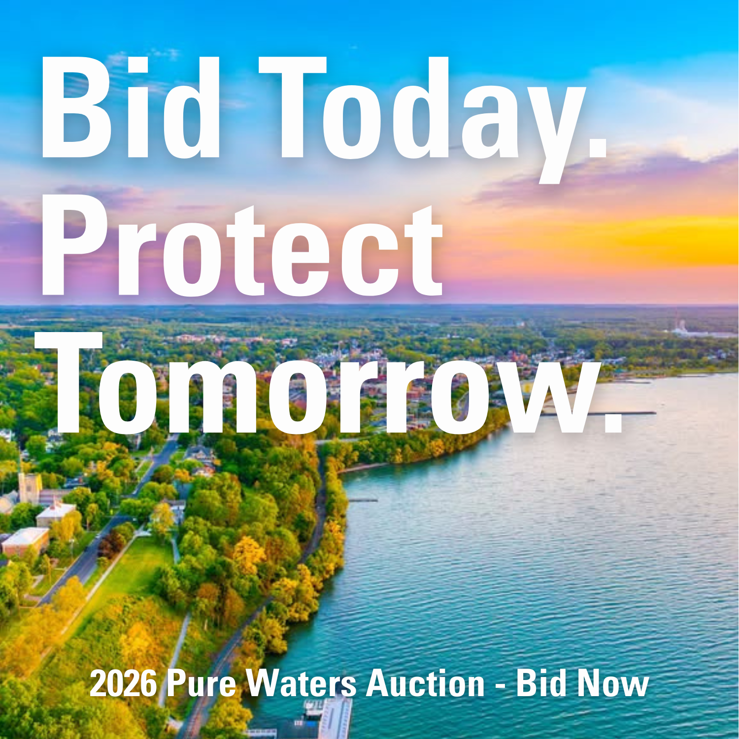 Auction 2026