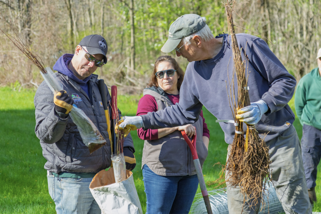 Kashong Tree Planting