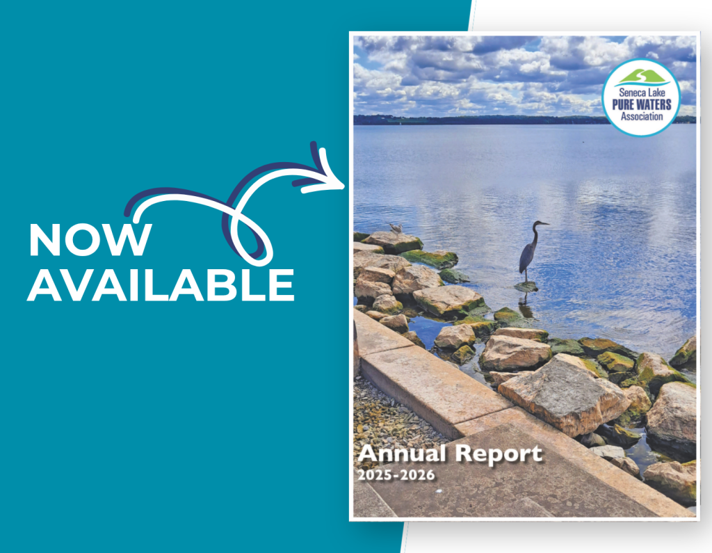 Annual Report