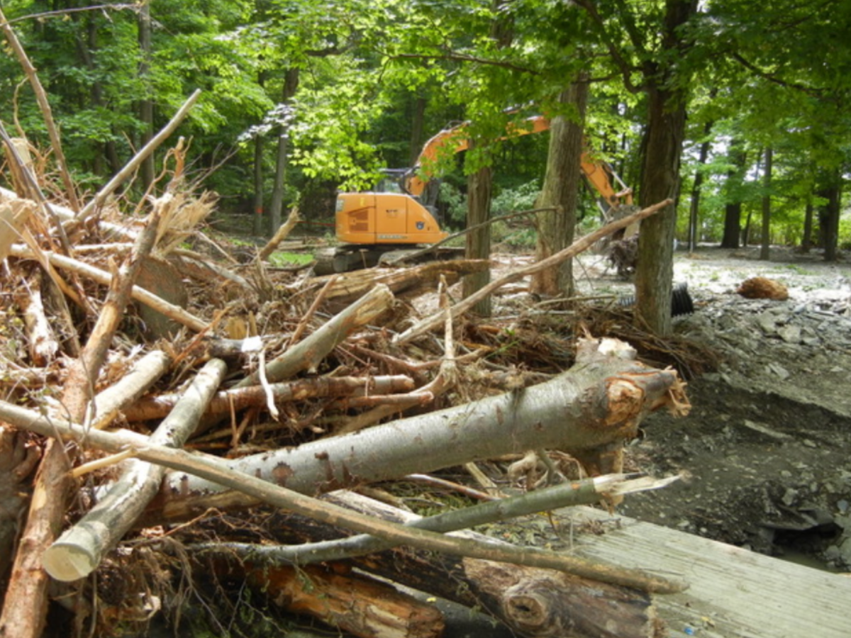 Photo captured by Charlie Fausold — A fallen hemlock became lodged behind a bridge abutment during the August 2018 flooding, blocking the creek and diverting water across nearby land, contributing to significant damage in the neighborhood.