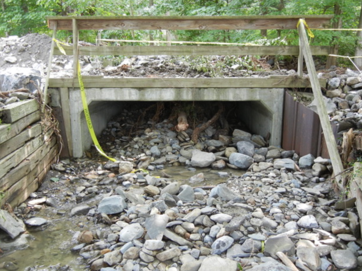 Photo captured by Charlie Fausold — A fallen hemlock became lodged behind a bridge abutment during the August 2018 flooding, blocking the creek and diverting water across nearby land, contributing to significant damage in the neighborhood.