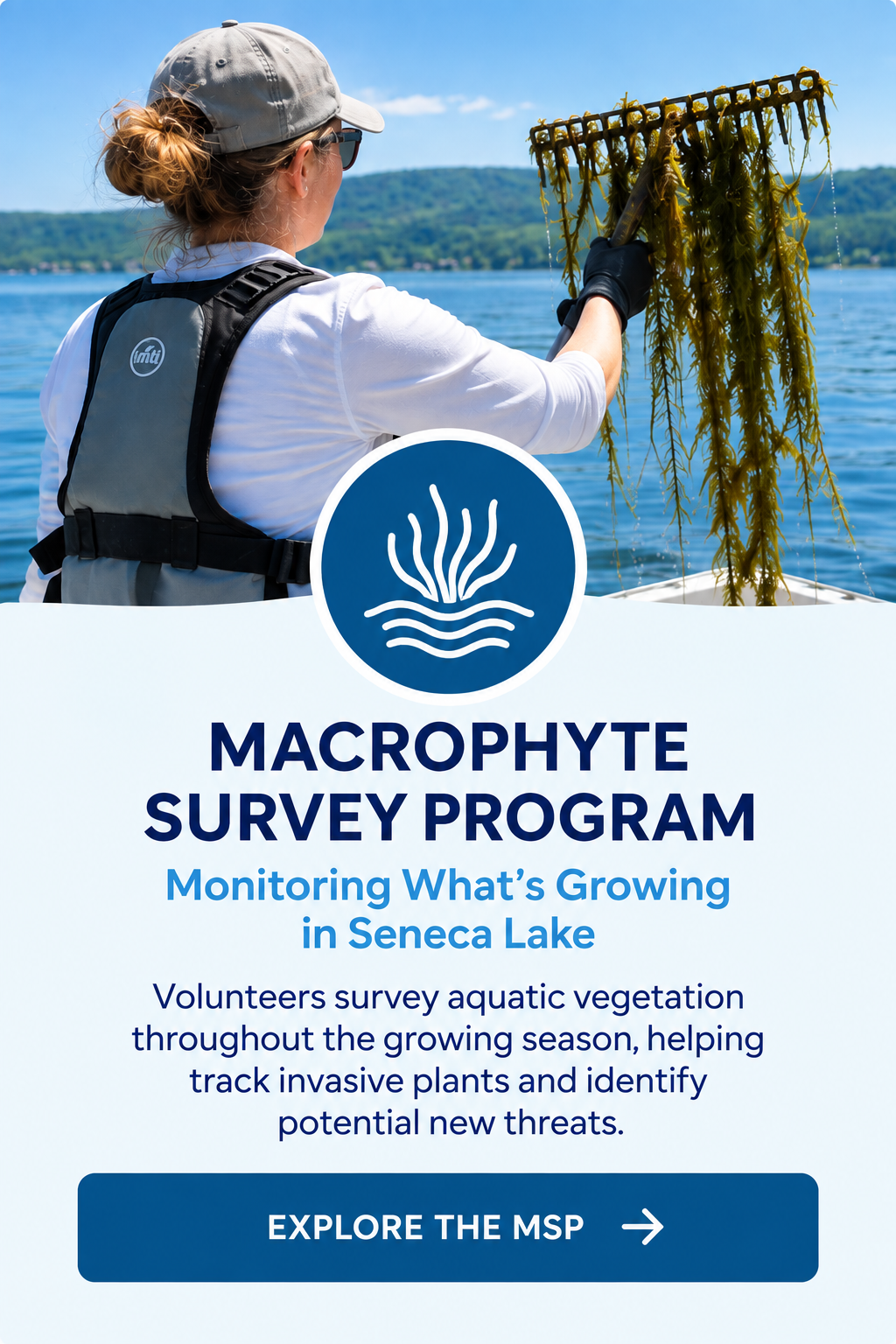 Macrophyte Survey Macrophyte Survey