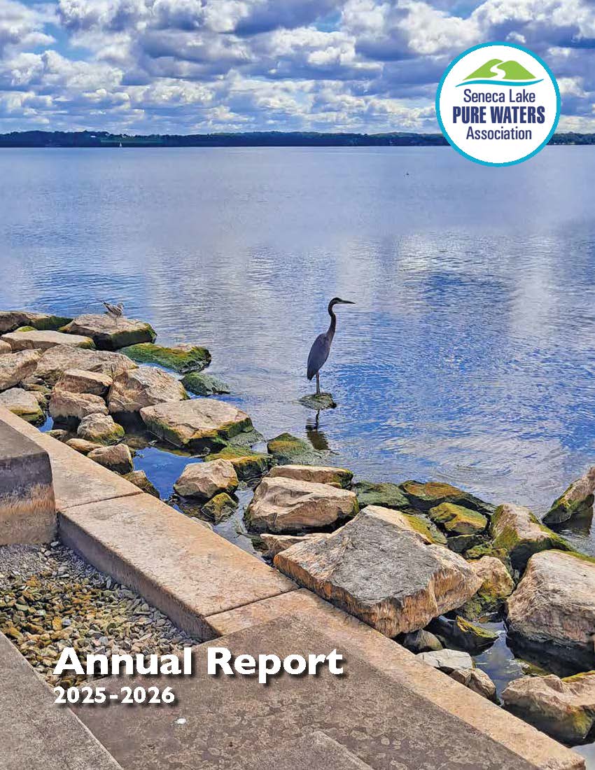 SL-Annual Report-2026-COVER ONLY LOW RES SL-Annual Report-2026-COVER ONLY LOW RES
