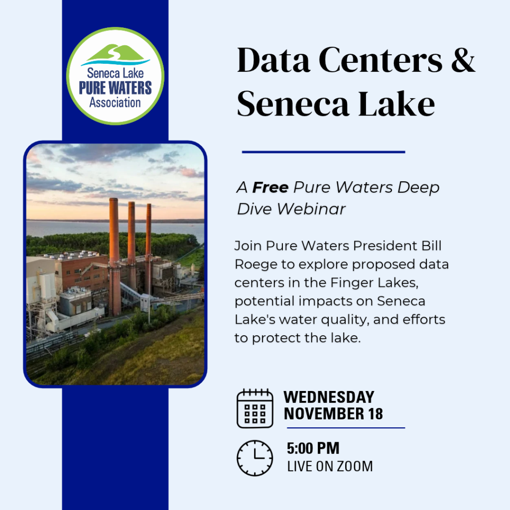 November 18 Webinar